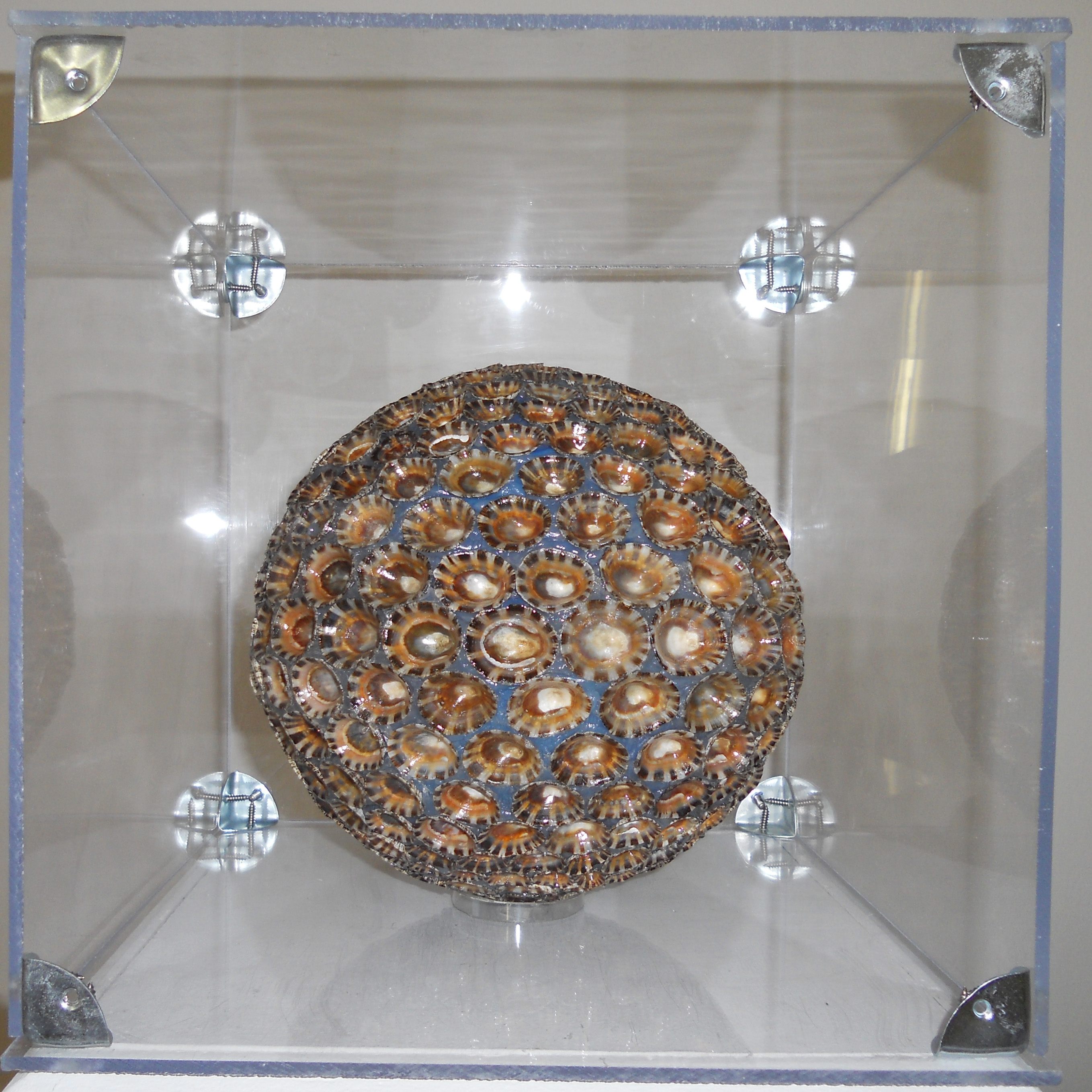 MW 10 (Hohe Aufl&ouml;sung)